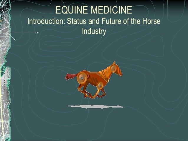 Industrial commercial horse breeding, donkeys and mules